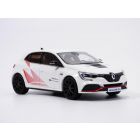 RENAULT MEGANE RS Trophy-R 2019 1/43 version record Nurburgring